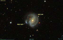NGC 341A
