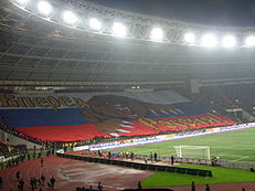 俄羅斯國家足球隊支持者把巨熊畫在國旗上為球員打氣