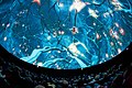 The Dome Theatre in Visualiseringscenter C on Campus Norrköping, as of 2019 the world's best dome for 3D image quality.[21]