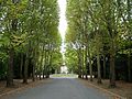 Allée centrale du cimetière.