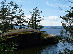 A rock cliff in an inlet with pine trees growing on it