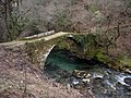 Ponte medieval de Fofe sobre o río Tea.