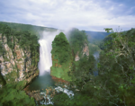 A waterfall in a tropical setting