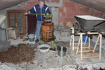 Konvencionális borkészítés, szőlő sajtolása kézi szőlőpréssel