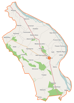 Mapa konturowa gminy Magnuszew, blisko centrum na prawo znajduje się punkt z opisem „Magnuszew”