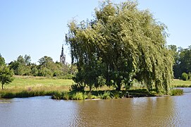 L'étang du Verdier.