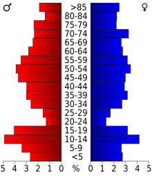 Schéma représentant la population du comté, par tranche d'âge. En rouge, à gauche, les femmes, en bleu à droite, les hommes.