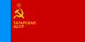 پرچم جمهوری خودمختار سوسیالیستی تاتار شوروی از ۱۹۸۱ تا ۱۹۹۰