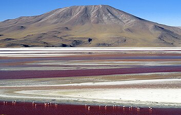 Озеро Лагуна-Колорада в Боливии