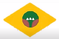 Bandeira de Ponte Branca