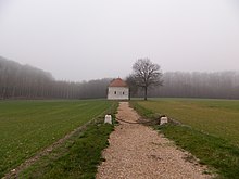 Photographie en couleurs montrant un édifice de forme de ronde au milieu d'une clairière.