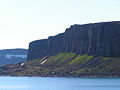 Fuglefjell ved Dorstbukta, på austsida av Barentsøya. Grønt gras er sikkert teikn på fuglefjell