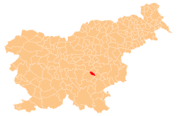 Location of the Municipality of Mirna in Slovenia