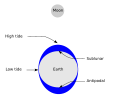 La Luna è la causa principale delle maree