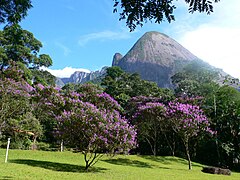 Nhìn ra công viên ở Teresopolis và một phần của dãy núi Serra do Mar