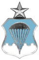 Air Force Senior Parachutist Badge