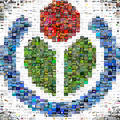 27 novembre 2006 Mosaïque du logo Wikimedia, bientôt le million sur Commons !