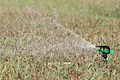 An oscillating sprinkler watering a lawn