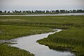 Point Pelee