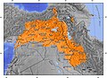 Versiyona biçûkkirî yê 22:31, 6 gulan 2016