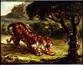 Tiger and Snake. Oil on canvas, 13 × 161⁄4 in, 1862