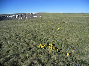 Photo of Calf Creek Plateau