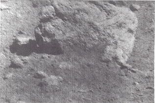Fragmento vesicular com cerca de 35 cm de diâmetro, cerca de 7 metros do Surveyor 7