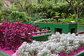 This sensory garden inside the Rio de Janeiro Botanical Garden, Brazil, is designed to sharpen the senses of touch and smell, and sometimes taste. Visitors with special needs, including the blind and visually impaired, are welcomed by a team of counselors (some of whom are themselves visually disabled). Blindfolded guided tours are also a feature.[12]