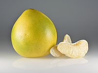 Citrus grandis