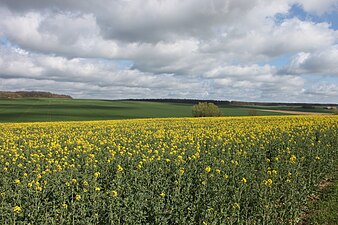 Lânskip yn de Beauce