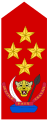 Général d'armée (Land Forces of the DR Congo  [لغات أخرى]‏)