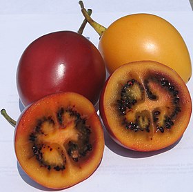 Variedades amarela e vermelha do fruto de Solanum betaceum.