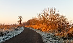 Route en hiver près du village, vers Langweerderwielen (Langwarder Wielen). Décembre 2016.