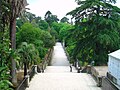 Inside the Botanical Garden of the University of Coimbra, Portugal