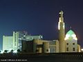 King Abdullah University Hospital and the mosque of JUST at night.