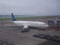 Avion kompanije Garuda Indonezija