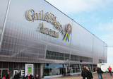 Goldenbird arena1