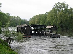 Hajómalom a Murán (Veržej, Szlovénia)