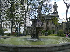 Fuente del jardín.