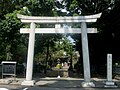 Torii of Miho shrine
