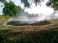 作物残渣(crop residue)の野焼きと煙
