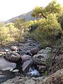 Čatkalski park prirode (Uzbekistan)