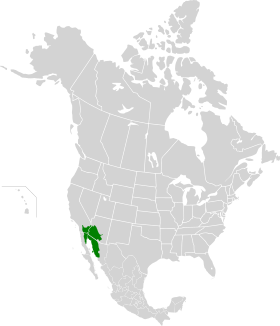 Mapa do deserto de Sonora na América do Norte