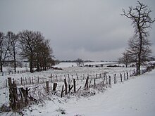 Photo couleur de pâturages clos de barbelés et arbres sous la neige. Le ciel est gris uniforme.