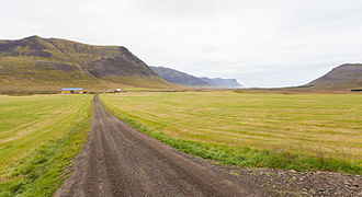 Þingeyri bölgesinden bir manzara