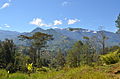 New Guinea Highlands