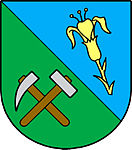 Ražice