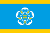 Viljandi bayrağı
