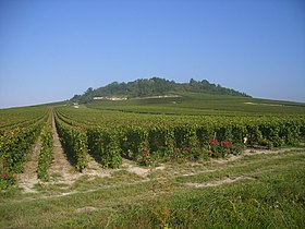 Vue du versant sud-est du mont Aimé.