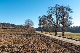 La campagne près de Linsenberg à Poggersdorf. Janvier 2019.